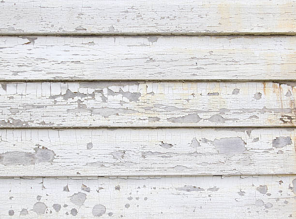 Best Siding Painting and Refinishing  in Moreland Hills, OH